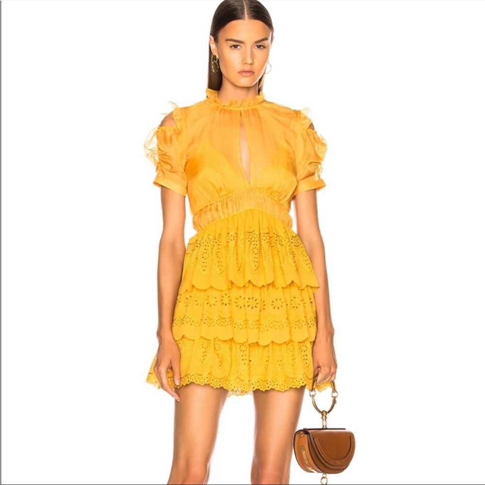 Self-Portrait Tiered Ruffled Dress